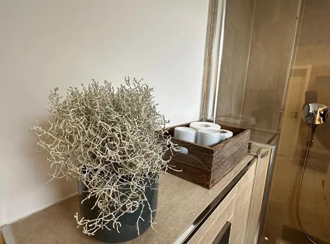 Villa Stadtvilla In 7 Personen 3 Schlafzimmer 2 Bäder Garten Und Terrasse Zentral Gelegen Messe Innenstadt Seen