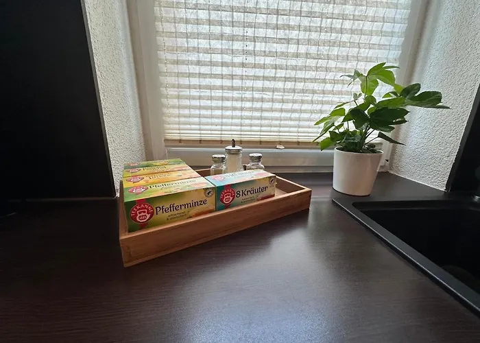 Stadtvilla In 7 Personen 3 Schlafzimmer 2 Bäder Garten Und Terrasse Zentral Gelegen Messe Innenstadt Seen * Leipzig